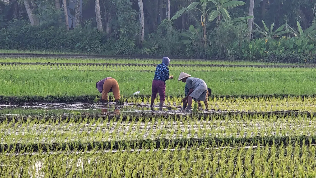 Wisata Klaten - gambar berkualitas